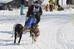 Lenk 2012 SM